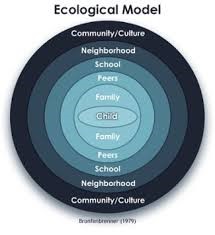 MST Eco Model