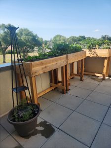 patio community garden