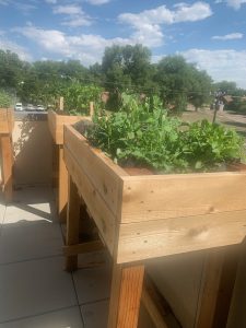 garden boxes