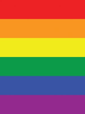 rainbow pride flag